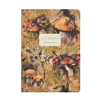 ТЕТРАДЬ А5, Bruno Visconti "FLORA.Mushroom Fantasy", 40л. линейка