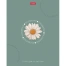 Тетрадь А5, 48 л., HATBER, скоба, клетка, soft-touch ламинация, тиснение,