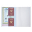 Папка-органайзер, обложка семейная для 2-х комплектов документов, А4, ПВХ,