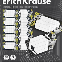 Наклейки на тетрадь ErichKrause ДНК спорта, 3 л., в пакете с европодвесом