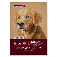 Бумага для пастели ФАКТУРНАЯ, А3, в папке, 20 листов, 5 цветов, 270 г/м2, BRAUBERG ART, 117756
