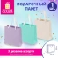 Пакет подарочный (1 штука) 20х8х20 см, "Pastel Mix", ассорти, крафт,