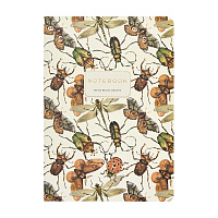ТЕТРАДЬ А5, Bruno Visconti "FAUNA.little wings", 40л. линейка