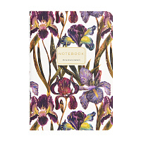 ТЕТРАДЬ А6-, Bruno Visconti "FLORA.Ирисы", 32л, клетка
