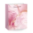 Пакет подарочный (1 штука) 18х10х23 см (M), "Everyday Collection",