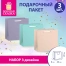 Пакет подарочный НАБОР 3 штуки, 20х8х20 см, "Pastel Mix", крафт,