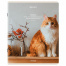Тетрадь А5, 48 л., BRAUBERG, скоба, клетка, матовая ламинация, "Cats",