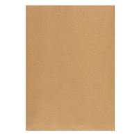 Пакет Крафт В4стрип Multipack 250х353 100г 50шт/уп/5782 штр.  4607025736301