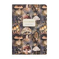 ТЕТРАДЬ А5, Bruno Visconti "FLORA.Mushroom Miracle", 40л. линейка