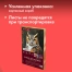 Бумага для пастели ФАКТУРНАЯ, А3, в коробке, 36 листов, 12 цветов, 270 г/м2,