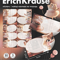 Наклейки на тетрадь ErichKrause Прима-кошка, 3 л., в пакете с европодвесом
