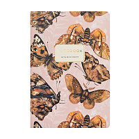 ТЕТРАДЬ А5, Bruno Visconti "FAUNA.Magic wings", 40л. линейка