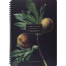 Бизнес-тетрадь, BS, А4, 96 листов, клетка, мягкий, спираль, Flora, инжир, N4283