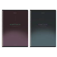 Тетради ДЭК А4 96 л. КОМПЛЕКТ 2 шт. BRAUBERG гребень, клетка, SoftTouch, "Peaceful", 404875