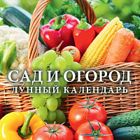 Календарь на магн. настенный отрыв. 2027г. Атберг САД И ОГОРОД. Лунный календарь 96х135 мм 12 л. офсет. склейка
