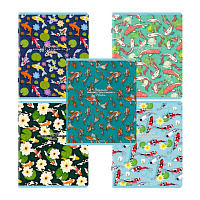 Тетради ДЭК А5 48 л. КОМПЛЕКТ 5 шт. BRAUBERG скоба, клетка, TWIN-лак, "Карпы Кои", 404907