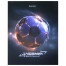 Дневник 5-11 класс 48 л., твердый, BRAUBERG, глянцевая ламинация, с подсказом,