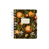 ЗАПИСНАЯ КНИЖКА "ART JOURNAL" А6,120 Л. НА ГРЕБНЕ, С РАЗДЕЛИТЕЛЯМИ "ФЛОРА.РАЙСКИЕ АПЕЛЬСИНЫ"